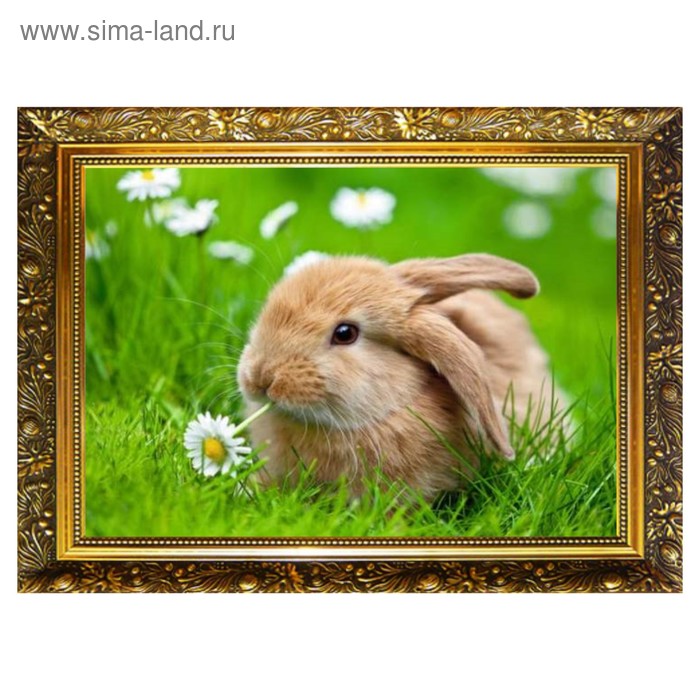 Алмазная мозаика «В поле с ромашкой» 29,5×20,5 см, 25 цветов
Алмазная мозаика «В поле с ромашкой» 29,5×20,5 см, 25 цветов