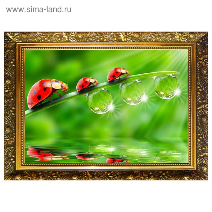 Алмазная мозаика «Капельки росы» 29,5×20,5 см, 25 цветов
Алмазная мозаика «Капельки росы» 29,5×20,5 см, 25 цветов