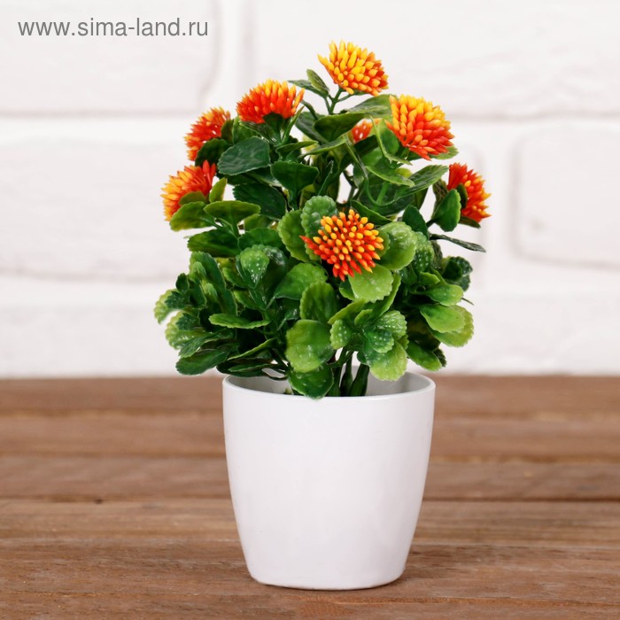 Бонсай в горшочке "Пушистые цветки" 6*15 см, микс
Бонсай в горшочке "Пушистые цветки" 6*15 см, микс