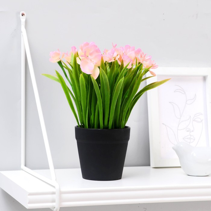 Бонсай в горшке "Камбрия" 9*19 см, микс
Бонсай в горшке "Камбрия" 9*19 см, микс