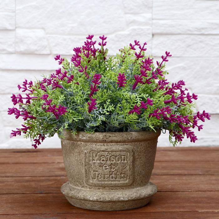 Бонсай в горшке "Мелкие бутончики" 11*16 см, микс
Бонсай в горшке "Мелкие бутончики" 11*16 см, микс