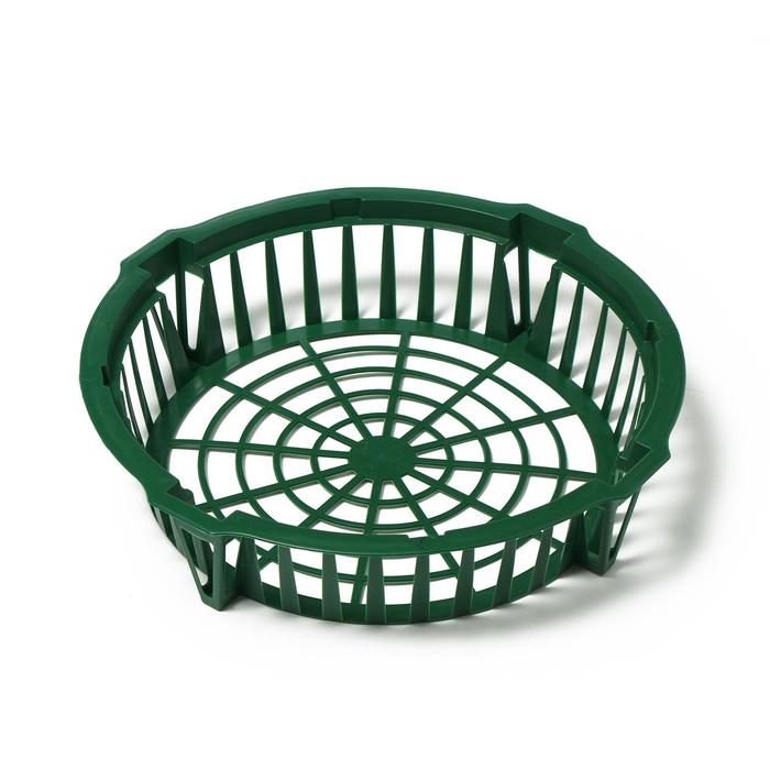 Корзина для луковичных, круглая, d = 28.5, h = 6.4 см
Корзина для луковичных, круглая, d = 28.5, h = 6.4 см