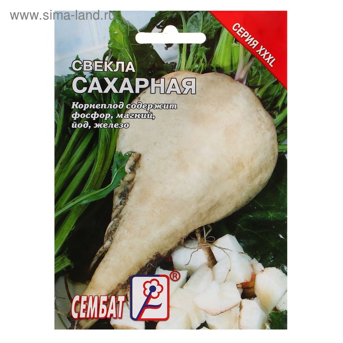 Семена ХХХL Свекла "Сахарная", 10 г
Семена ХХХL Свекла "Сахарная", 10 г