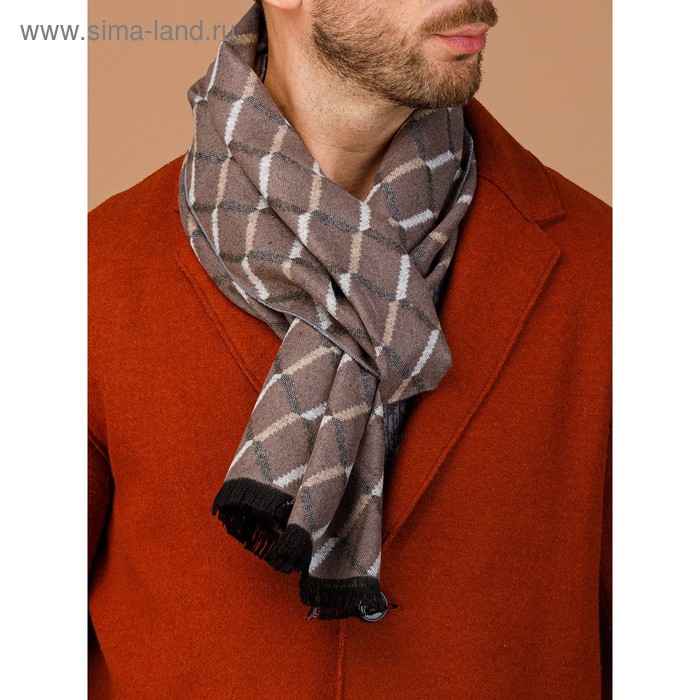 Шарф мужской 30×180 см, бежевый
Шарф мужской 30×180 см, бежевый