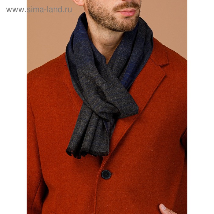 Шарф мужской 30×180 см, синий
Шарф мужской 30×180 см, синий