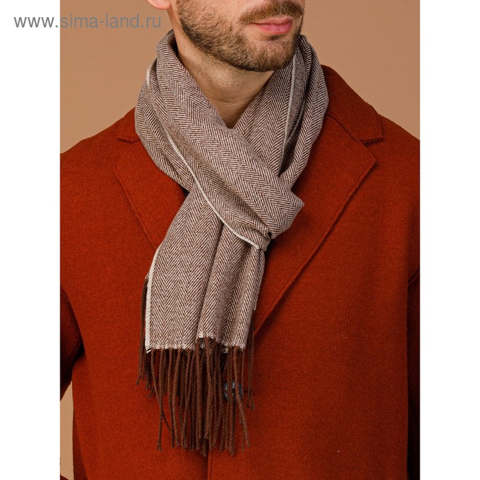 Шарф мужской 30×170 см, коричневый
Шарф мужской 30×170 см, коричневый