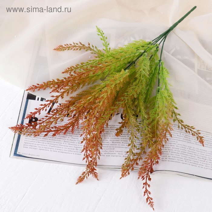 Букет "Апозерис" 35 см, микс
Букет "Апозерис" 35 см, микс