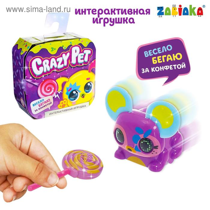 Игрушка интерактивная Crazy Pet, бегает с конфеткой, цвета МИКС 
Игрушка интерактивная Crazy Pet, бегает с конфеткой, цвета МИКС