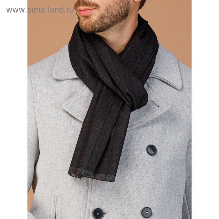 Шарф мужской 30×180 см, светло-серый
Шарф мужской 30×180 см, светло-серый