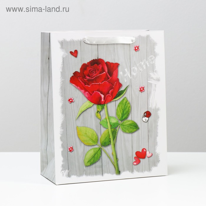 Пакет ламинированный, 26 x 32 x 12 см
Пакет ламинированный, 26 x 32 x 12 см