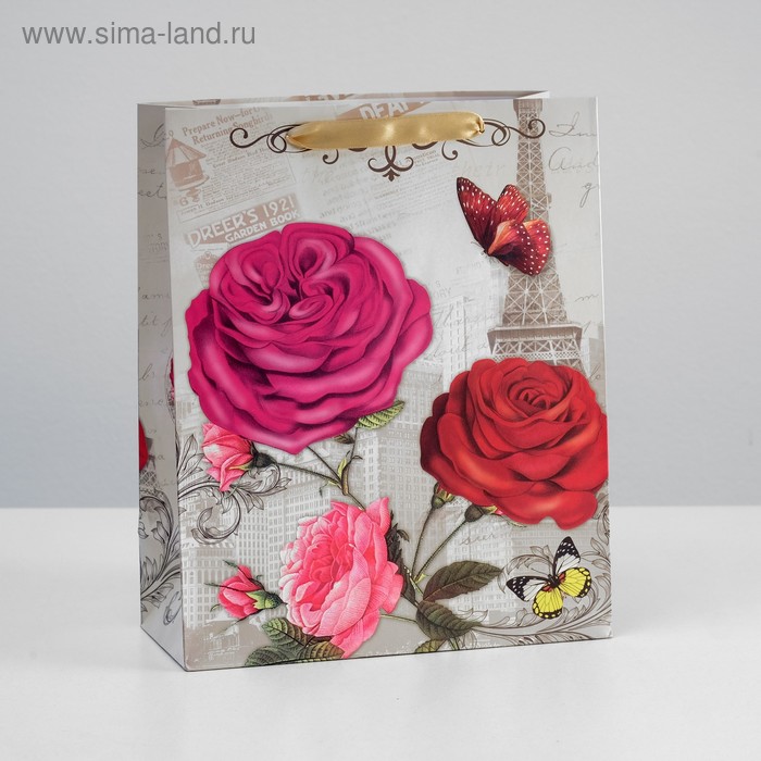 Пакет ламинированный, 26 x 32 x 12 см
Пакет ламинированный, 26 x 32 x 12 см