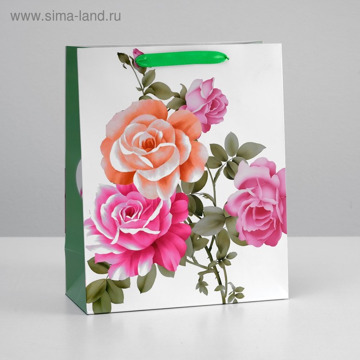 Пакет подарочный ламинированный, 26 x 32 x 12 см
Пакет подарочный ламинированный, 26 x 32 x 12 см