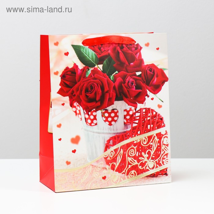 Пакет подарочный ламинированный, 26 x 32 x 12 см
Пакет подарочный ламинированный, 26 x 32 x 12 см