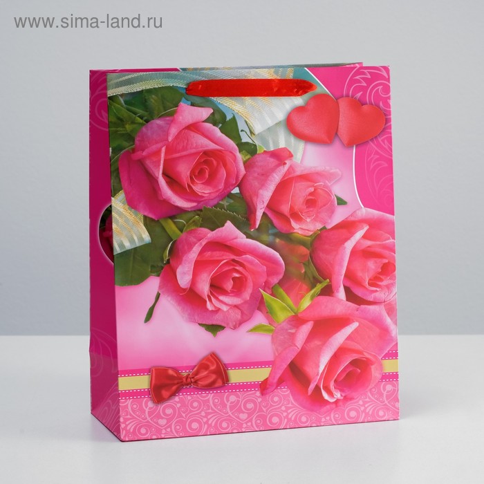 Пакет ламинированный, 26 x 32 x 12 см
Пакет ламинированный, 26 x 32 x 12 см