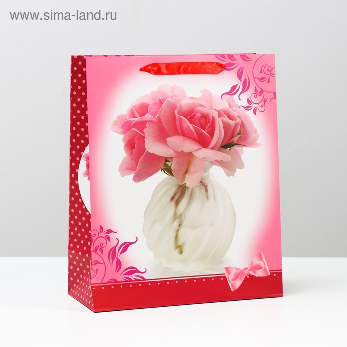 Пакет ламинированный, 26 x 32 x 12 см
Пакет ламинированный, 26 x 32 x 12 см