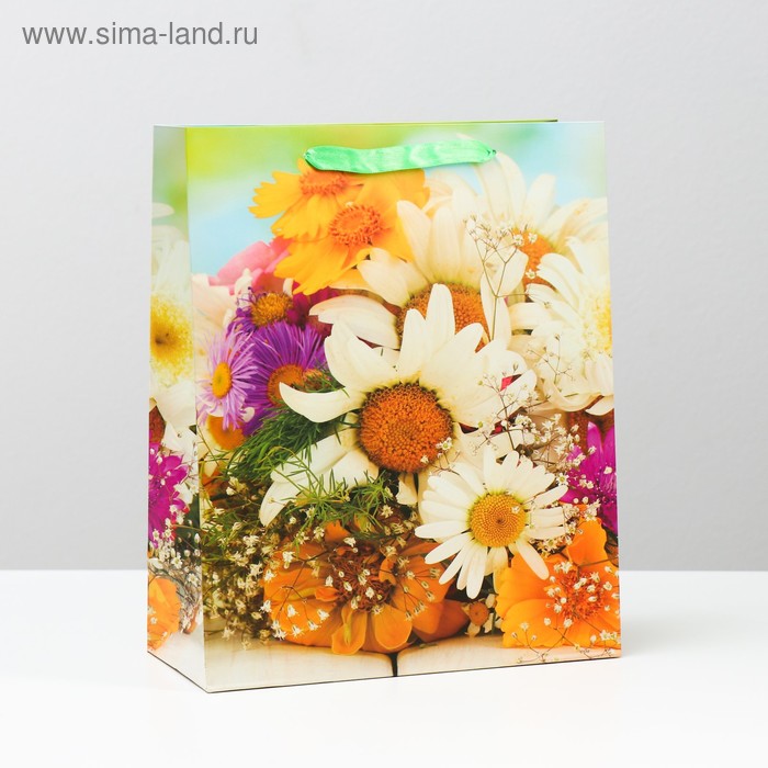 Пакет ламинированный, 26 x 32 x 12 см
Пакет ламинированный, 26 x 32 x 12 см