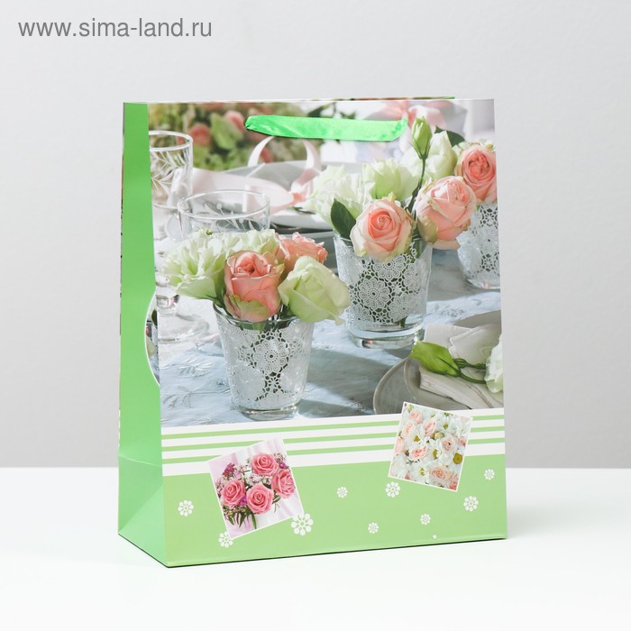 Пакет ламинированный, 26 x 32 x 12 см
Пакет ламинированный, 26 x 32 x 12 см