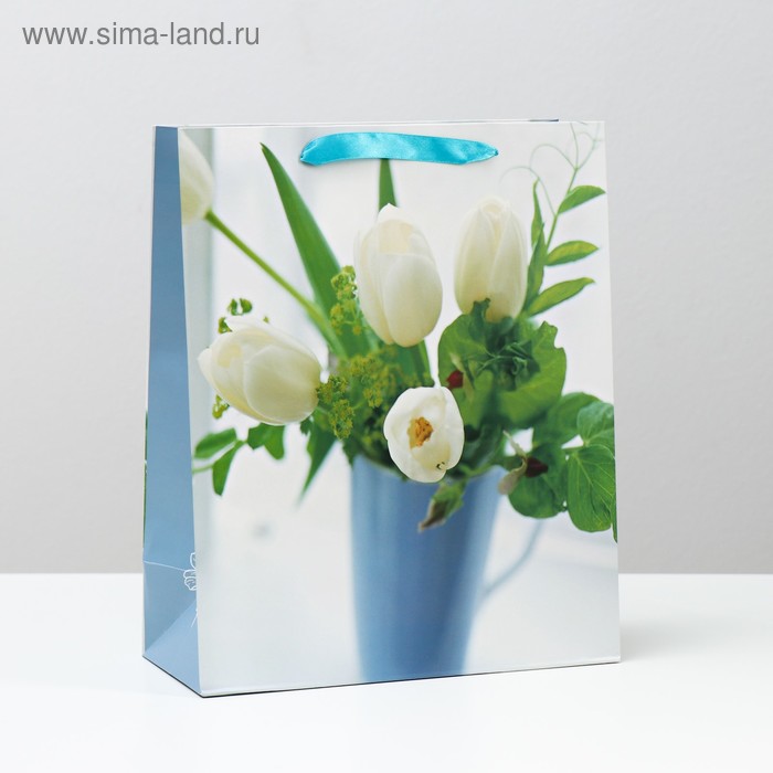 Пакет ламинированный, 26 x 32 x 12 см
Пакет ламинированный, 26 x 32 x 12 см