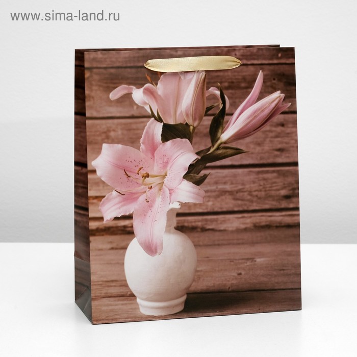 Пакет ламинированный, 26 x 32 x 12 см 
Пакет ламинированный, 26 x 32 x 12 см