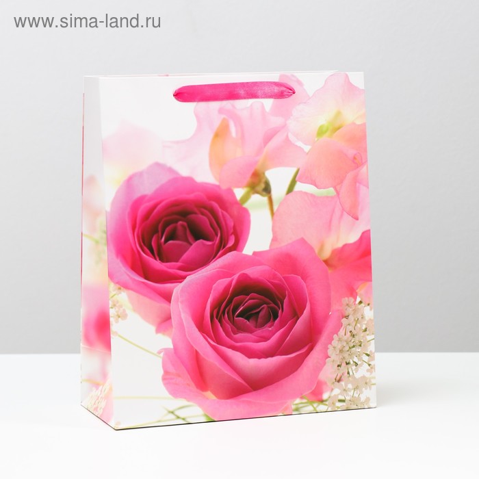 Пакет ламинированный, 26 x 32 x 12 см
Пакет ламинированный, 26 x 32 x 12 см