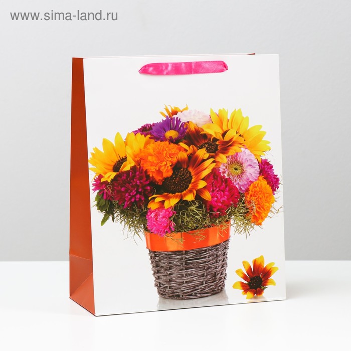 Пакет ламинированный, 26 x 32 x 12 см
Пакет ламинированный, 26 x 32 x 12 см