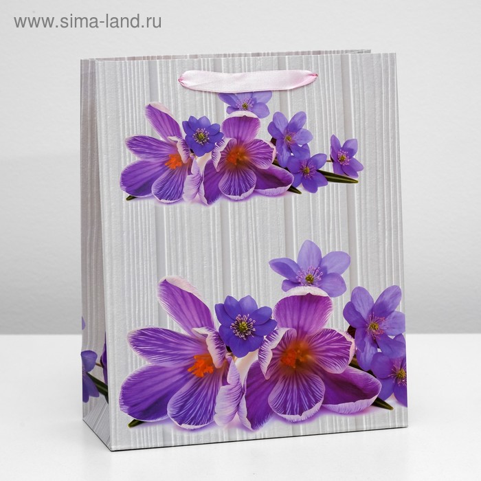 Пакет ламинированный, 26 x 32 x 12 см
Пакет ламинированный, 26 x 32 x 12 см