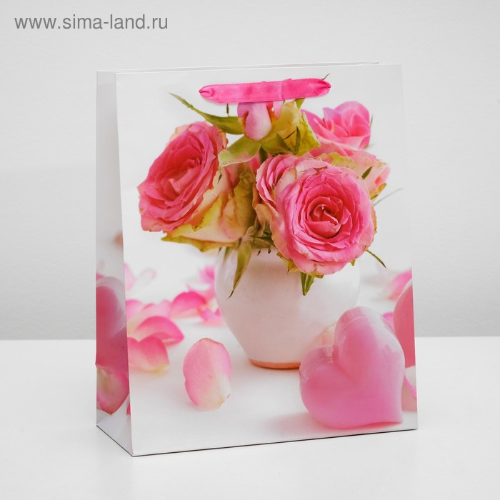 Пакет ламинированный, 26 x 32 x 12 см
Пакет ламинированный, 26 x 32 x 12 см