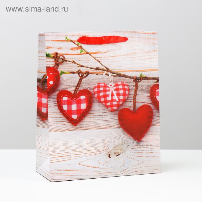 Пакет ламинированный, 26 x 32 x 12 см
Пакет ламинированный, 26 x 32 x 12 см