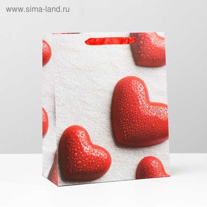 Пакет ламинированный, 26 x 32 x 12 см
Пакет ламинированный, 26 x 32 x 12 см