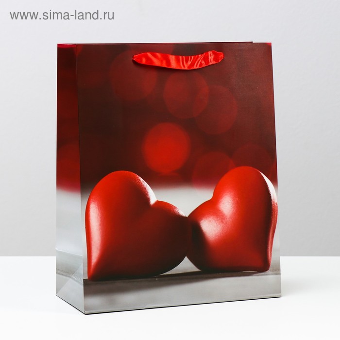 Пакет ламинированный, 26 x 32 x 12 см
Пакет ламинированный, 26 x 32 x 12 см