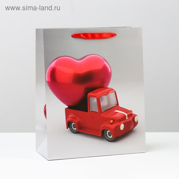 Пакет подарочный ламинированный, 26 x 32 x 12 см
Пакет подарочный ламинированный, 26 x 32 x 12 см