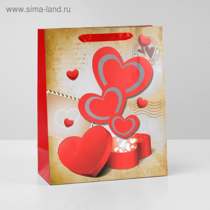 Пакет ламинированный, 26 x 32 x 12 см
Пакет ламинированный, 26 x 32 x 12 см