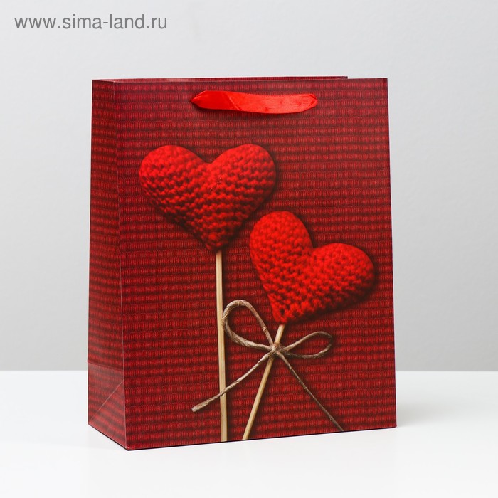 Пакет ламинированный, 26 x 32 x 12 см 
Пакет ламинированный, 26 x 32 x 12 см