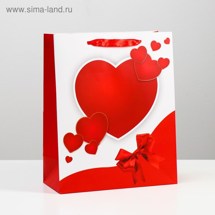 Пакет ламинированный, 26 x 32 x 12 см
Пакет ламинированный, 26 x 32 x 12 см