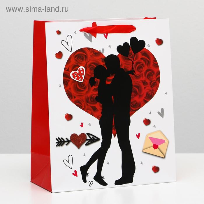 Пакет ламинированный, 26 x 32 x 12 см
Пакет ламинированный, 26 x 32 x 12 см