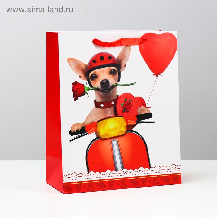 Пакет подарочный ламинированный, 26 x 32 x 12 см
Пакет подарочный ламинированный, 26 x 32 x 12 см