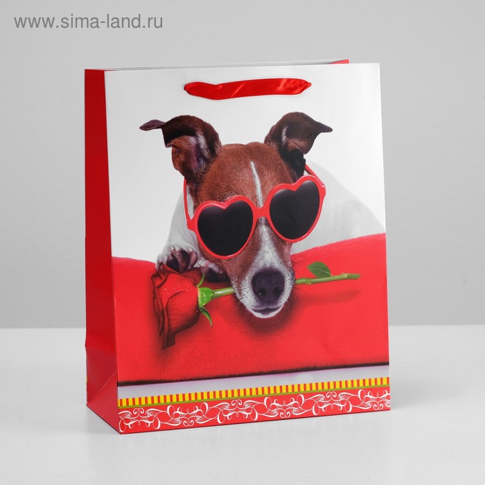 Пакет ламинированный, 26 x 32 x 12 см
Пакет ламинированный, 26 x 32 x 12 см