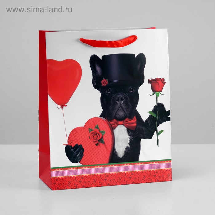 Пакет подарочный ламинированный, 26 x 32 x 12 см
Пакет подарочный ламинированный, 26 x 32 x 12 см