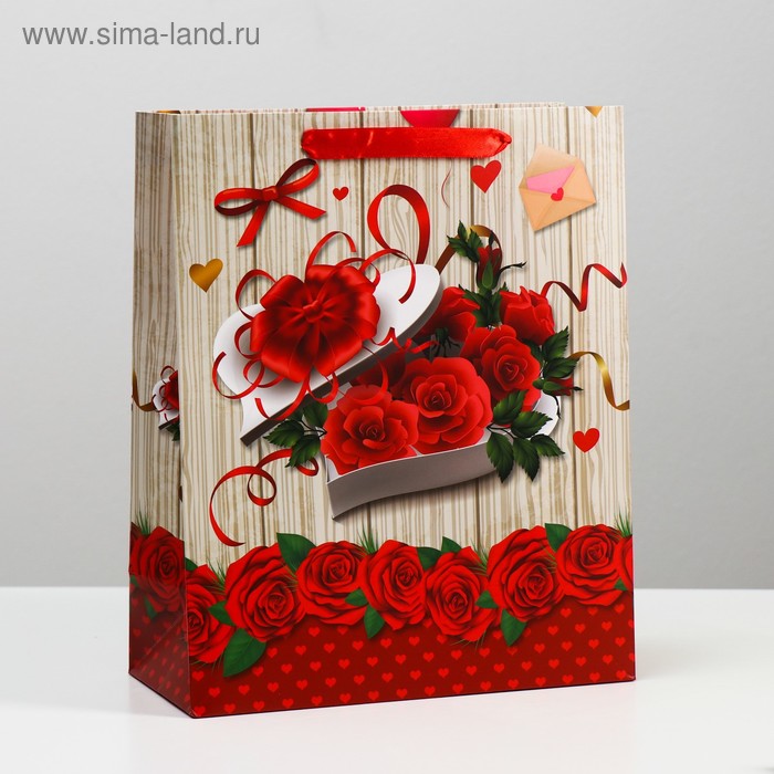 Пакет ламинированный, 26 x 32 x 12 см
Пакет ламинированный, 26 x 32 x 12 см