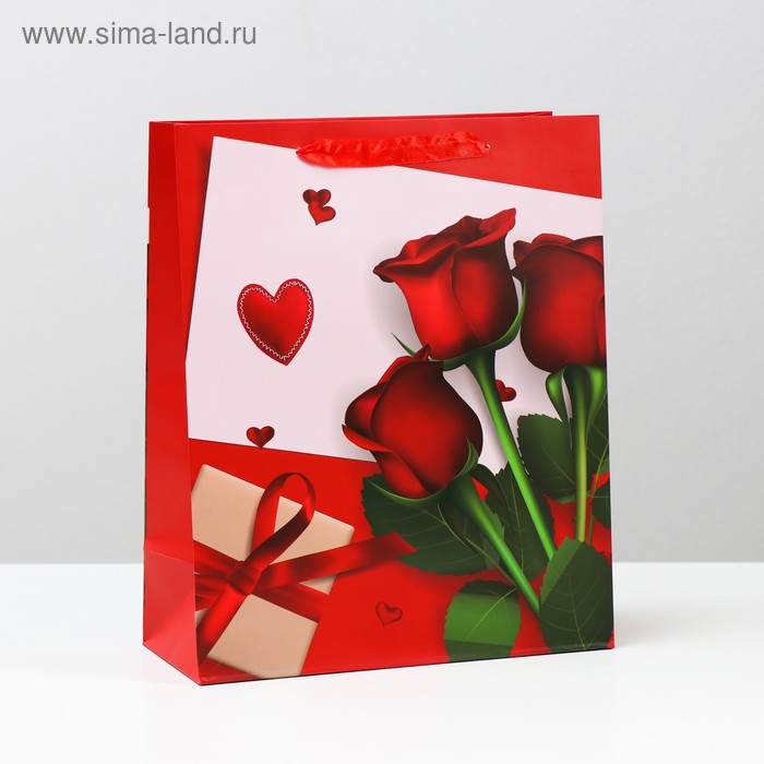 Пакет ламинированный, 26 x 32 x 12 см
Пакет ламинированный, 26 x 32 x 12 см