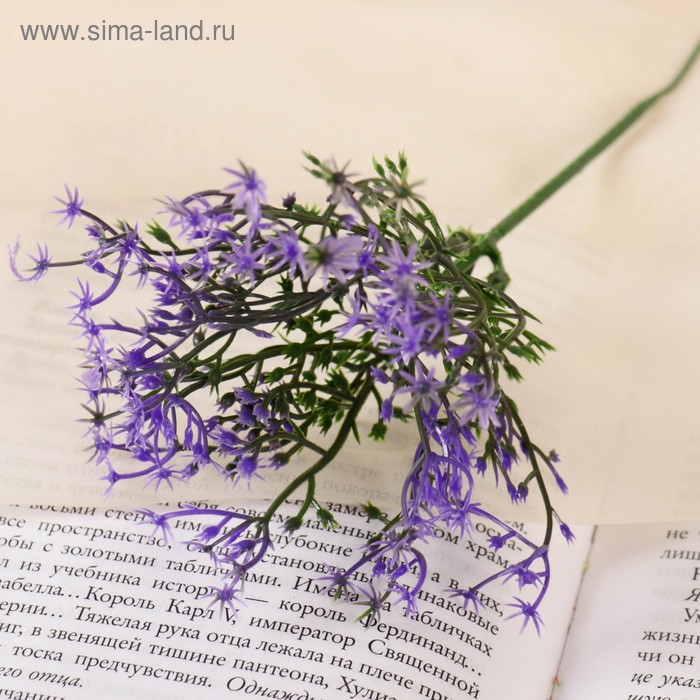 Букет "Чабрец" 20 см, микс
Букет "Чабрец" 20 см, микс