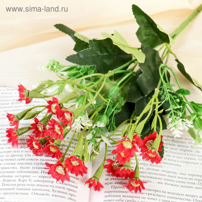 Букет "Малютки" 30 см, микс
Букет "Малютки" 30 см, микс