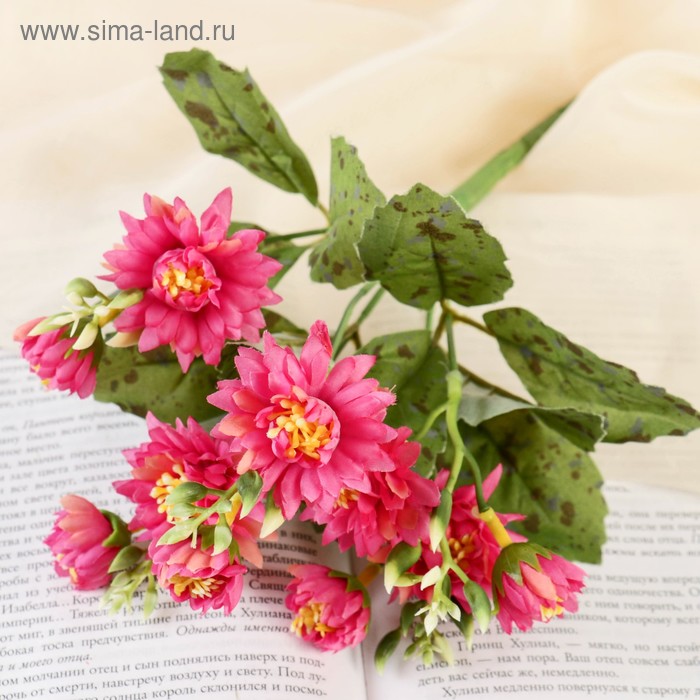 Букет "Аквилегия" 25 см, микс
Букет "Аквилегия" 25 см, микс