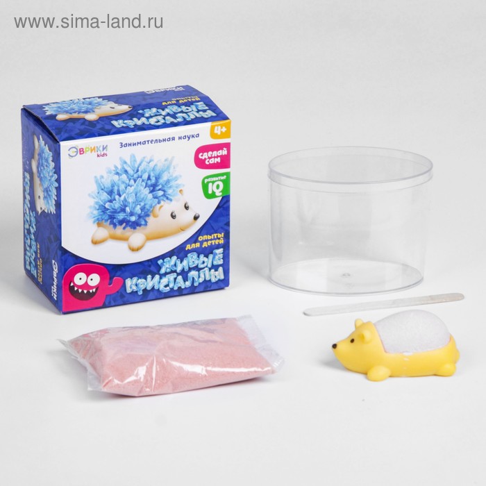 Живые кристаллы «Ёжик»
Живые кристаллы «Ёжик»