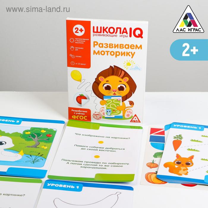 Развивающая игра «Школа IQ Развиваем моторику»
Развивающая игра «Школа IQ Развиваем моторику»