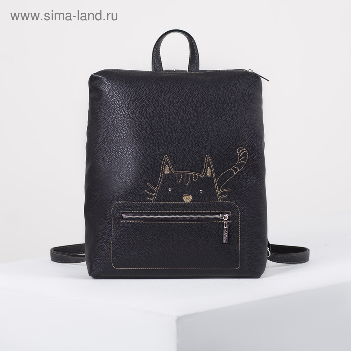 Рюкзак на молнии, цвет чёрный
Рюкзак на молнии, цвет чёрный