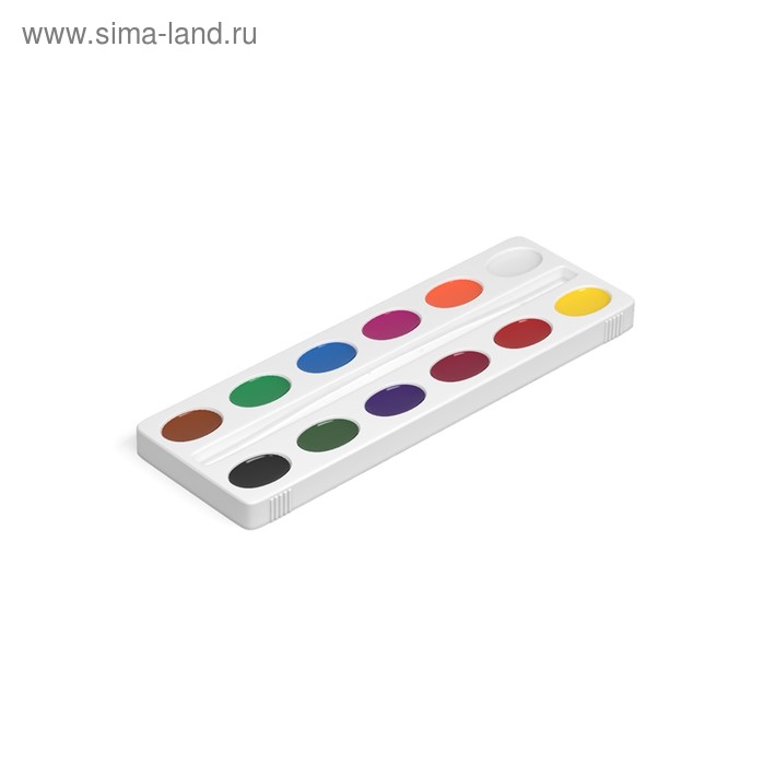 фото Акварель 12 цветов erichkrause basic, медовая, пластик, картонный пенал, без кисти