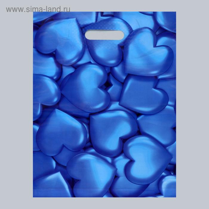 Пакет полиэтиленовый с вырубной, усиленной ручкой, 31 х 40 см, 60 мкм 
Пакет полиэтиленовый с вырубной, усиленной ручкой, 31 х 40 см, 60 мкм