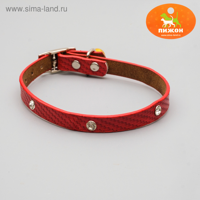 Ошейник рельефный со стразами, 31 х 1 см, микс цветов
Ошейник рельефный со стразами, 31 х 1 см, микс цветов