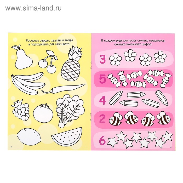 фото Раскраска многоразовая набор «рисуй-стирай. для девочек» 2 шт. по 12 стр. буква-ленд